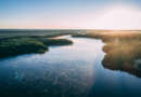 Por que preservar a Amazônia não é apenas uma pauta ambiental; é prioridade econômica global