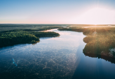 Por que preservar a Amazônia não é apenas uma pauta ambiental; é prioridade econômica global