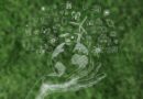 Sustentabilidade: Confira quatro dicas para sua empresa investir em práticas ESG