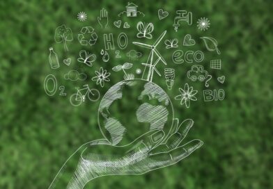Sustentabilidade: Confira quatro dicas para sua empresa investir em práticas ESG