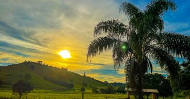 Turismo rural é uma boa opção de passeio no feriado, aponta Catálogo Ruralidade Viva