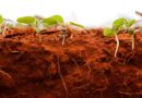 Bioinsumos impulsionam inovação e crescimento no agronegócio