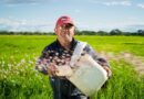Dia do Agricultor: Conheça 3 startups empenhadas em reduzir o impacto ambiental na agricultura