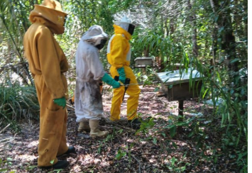 Apicultura no Litoral Norte e Agreste Baiano são fortalecidas com ações educativas; entenda