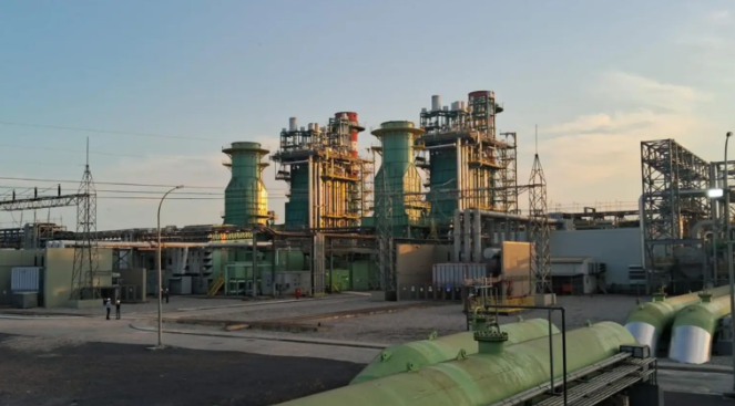 Grupo dos irmãos Batista vence concorrência e compra termelétrica da EDF