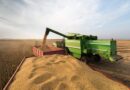 Pesquisa do IBGE prevê safra de grãos 4,7% menor na Bahia; saiba detalhes