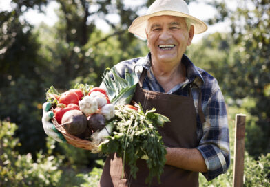 Produtores brasileiros serão beneficiados com aporte de R$ 100 mi destinado ao Ministério da Agricultura