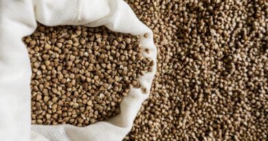 Déficit de armazenagem redefine mercado de grãos no Brasil em meio à safra recorde