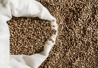 Déficit de armazenagem redefine mercado de grãos no Brasil em meio à safra recorde