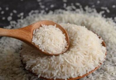 Brasil fecha 2025 com aumento no volume de arroz exportado; veja números