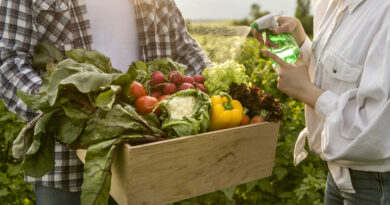 Clima pressiona produção de alimentos e acelera adoção de tecnologias no agro e na indústria