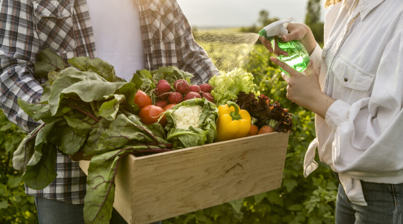 Clima pressiona produção de alimentos e acelera adoção de tecnologias no agro e na indústria
