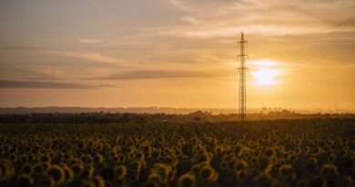 Quando a luz apaga, a biossegurança para: o elo invisível entre energia e sanidade no agro