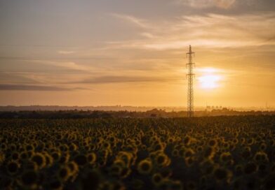 Quando a luz apaga, a biossegurança para: o elo invisível entre energia e sanidade no agro