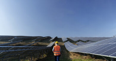 Entenda como a energia solar virou aliada contra as mudanças climáticas