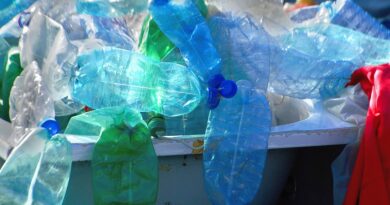 Folia na Bahia aumenta geração de resíduos e exige atenção aos recursos hídricos