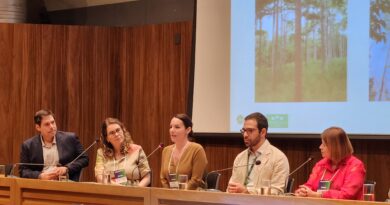 Silvicultura de espécies nativas ganha escala com apoio de instituição financeira