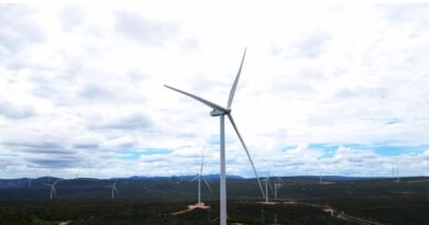 Bahia consolida liderança na geração de energia limpa durante a gestão de Jerônimo Rodrigues