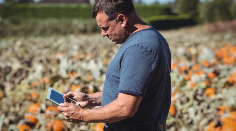 Guerra contra o Irã pode elevar custos do agro e provocar revisões contratuais, afirma especialista