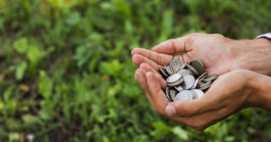 Crédito rural soma R$ 316,5 bilhões na safra 2025/2026; saiba detalhes