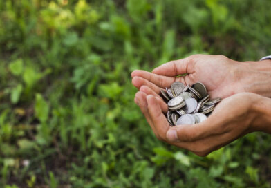 Crédito rural soma R$ 316,5 bilhões na safra 2025/2026; saiba detalhes