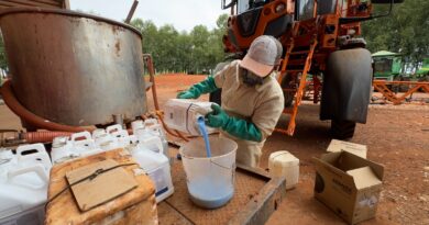 Com safra de soja na reta final, manejo correto da dessecação é decisivo para garantir eficiência na colheita