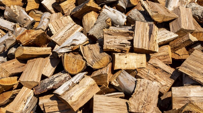 Economia verde: saiba qual estado brasileiro acaba de regulamentar uso de biomassa de madeira nativa