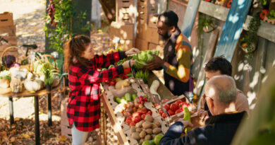 Municípios brasileiros retomam tradição das feiras da agricultura familiar