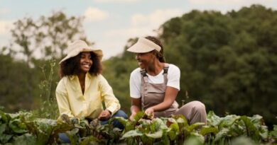  Estão abertas as indicações para a categoria “Ciência e Pesquisa” da 9ª edição do Prêmio Mulheres do Agro   