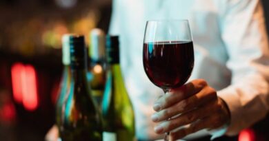 Confira a lista dos melhores vinhos do Brasil e Bahia está na relação  