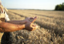 Produtividade no campo impacta perspectivas para próxima safra no Norte e Nordeste do país