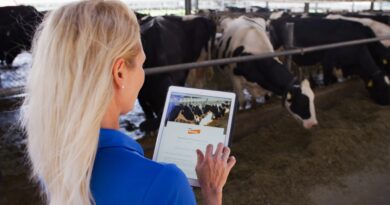 Canetas emagrecedoras impulsionam consumo de proteína e pressionam a pecuária por soluções sustentáveis