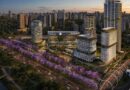Parque Global inicia plantio de 414 ipês-roxos adultos e cria novo marco ambiental e turístico; saiba onde