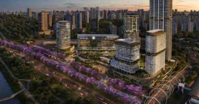 Parque Global inicia plantio de 414 ipês-roxos adultos e cria novo marco ambiental e turístico; saiba onde