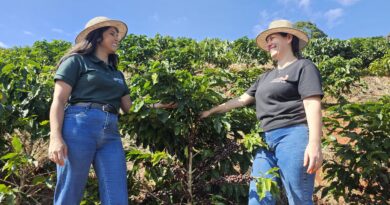Agricultores familiares triplicam renda com investimento em torrefação e venda direta de café; saiba onde