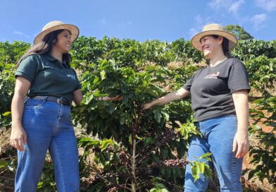 Agricultores familiares triplicam renda com investimento em torrefação e venda direta de café; saiba onde