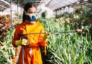 Agronegócio tem tecnologia, mas ainda perde eficiência na aplicação de defensivos