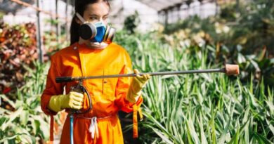 Agronegócio tem tecnologia, mas ainda perde eficiência na aplicação de defensivos