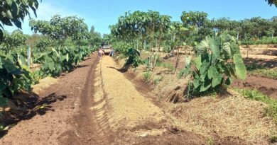 Protocolo de Transição Agroecológica completa 10 anos incentivando práticas sustentáveis no campo paulista
