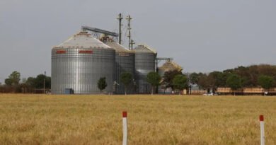 Exportações do Nordeste somam US$ 3 bilhões em agosto, maior valor do ano