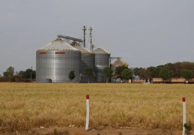 Exportações do Nordeste somam US$ 3 bilhões em agosto, maior valor do ano