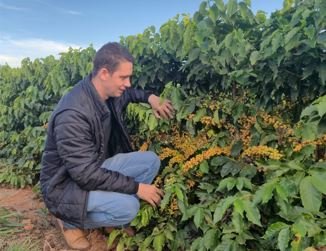 Projeto inédito analisa o tecido vegetal do cafezal e transforma dados da planta em decisões de manejo